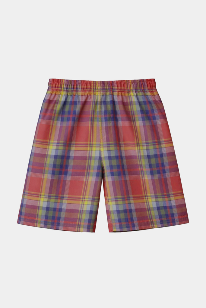 Boys Multicolor Plaid Shirt & Shorts Set – Summer Kids Outfit - MYK_Fatimas