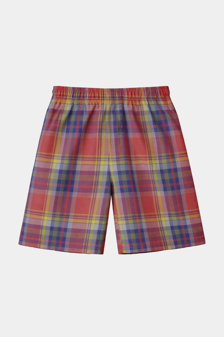 Boys Multicolor Plaid Shirt & Shorts Set – Summer Kids Outfit - MYK_Fatimas