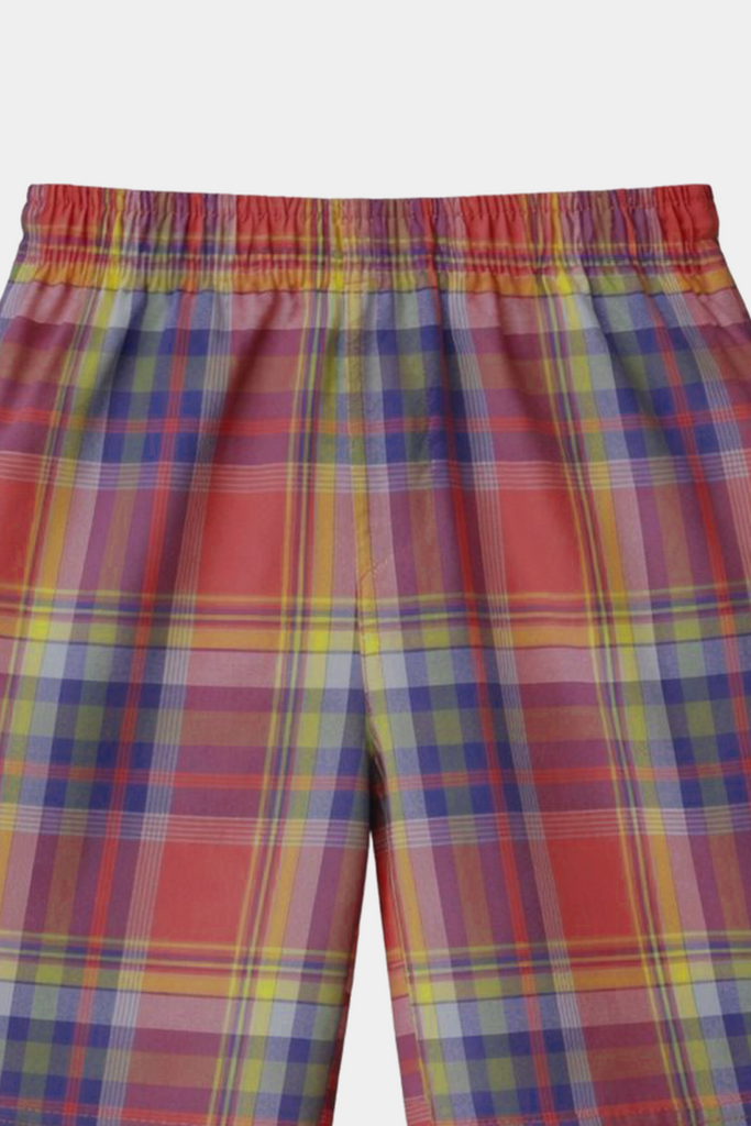 Boys Multicolor Plaid Shirt & Shorts Set – Summer Kids Outfit - MYK_Fatimas